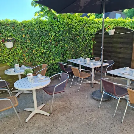 Hotel Haus Wittwer 4*